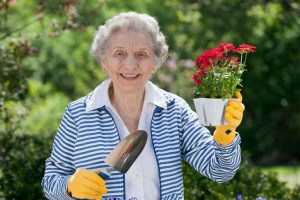 Senior Woman Holding a Spade and a Flower Ready To be Planted